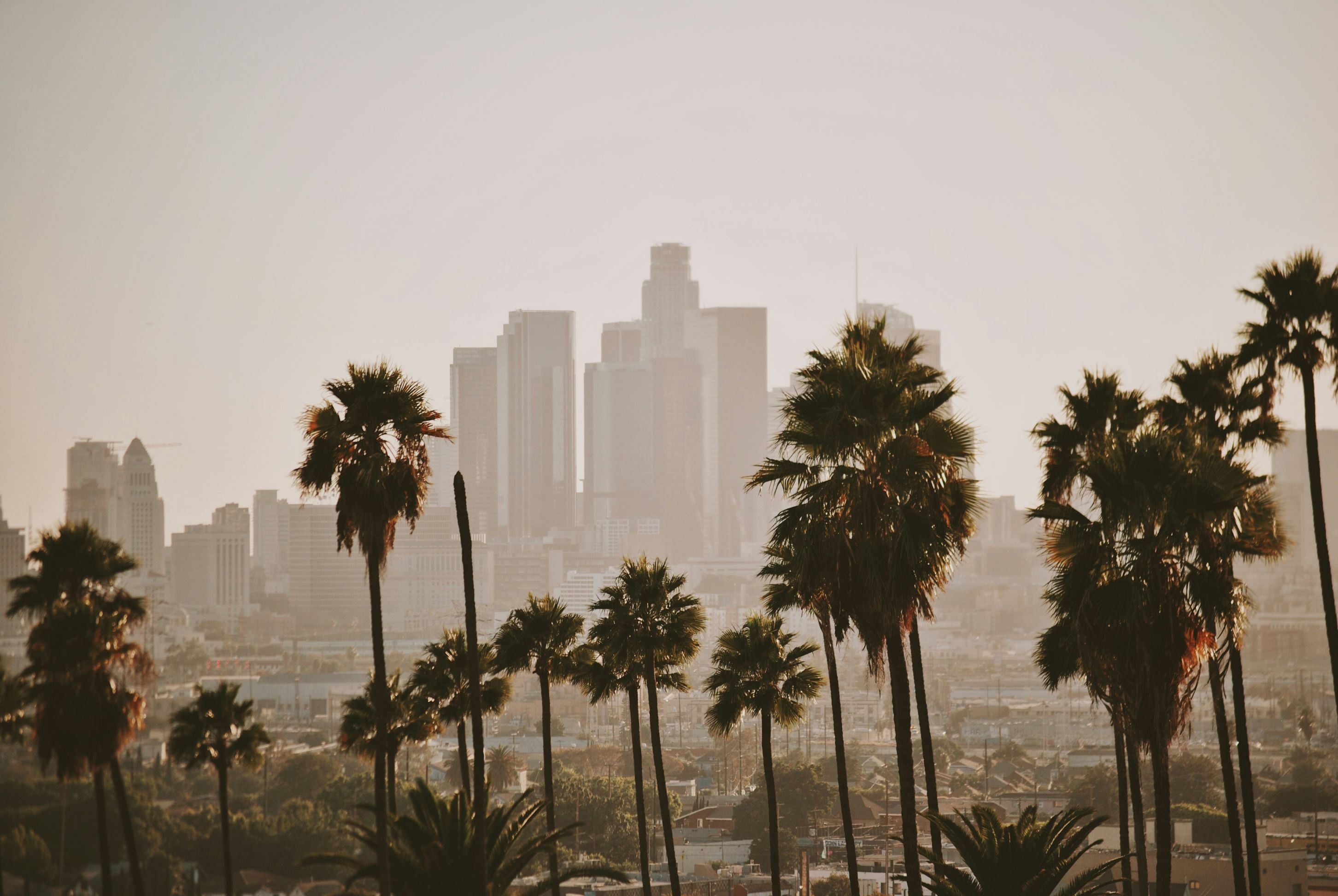 LA